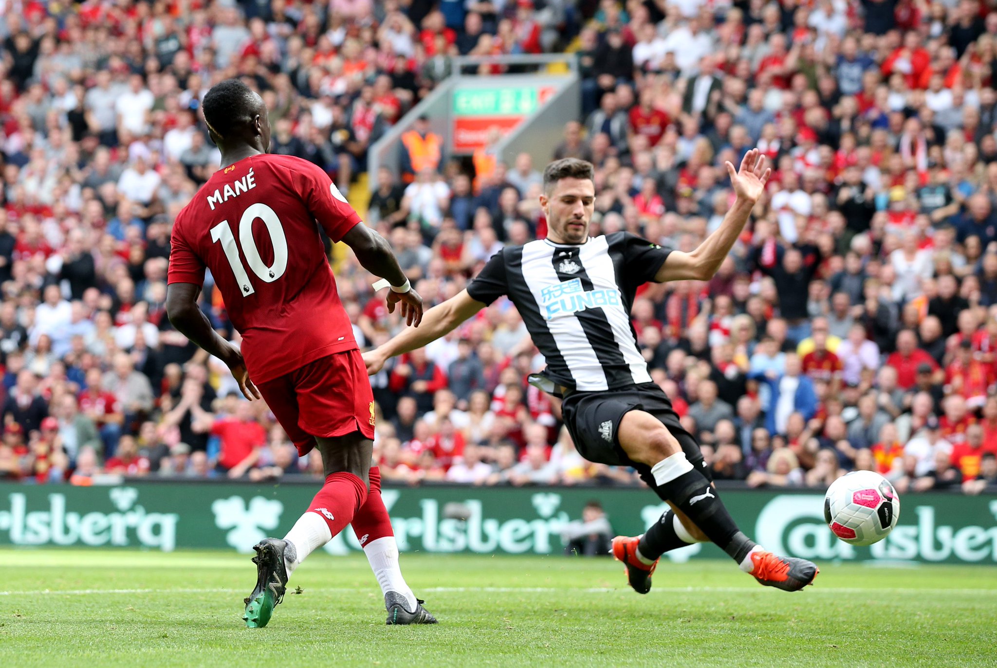 中加入更多 中加入更多